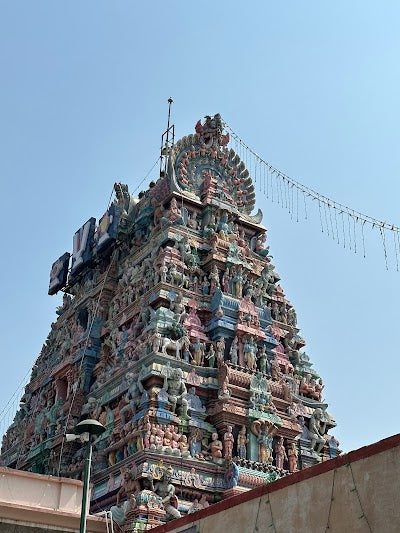 パルタサラティ寺院_Arulmigu Sri Parthasarathy Perumal Temple Tiruvallikeniの画像