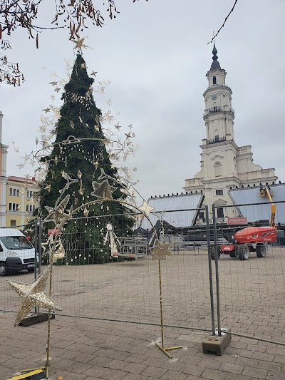 カウナス市庁舎広場_Kaunas Town Hallの画像