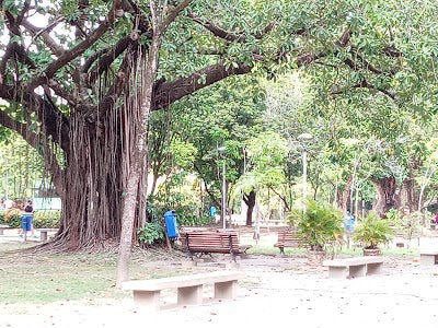 ジャケイラ公園_Parque da Jaqueiraの画像