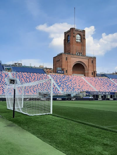 スタディオ・レナート・ダッラーラ_Renato Dall'Ara Stadiumの画像