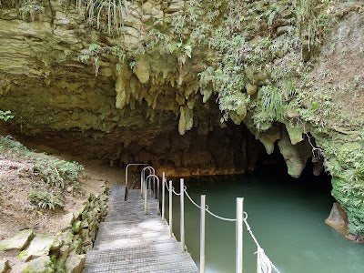 ワイトモ・グローム・ケイブス_Waitomo Glowworm Cavesの画像