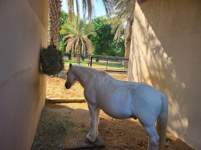 Breeding Center of Endangered Arabian Wildlife_Breeding Center of Endangered Arabian Wildlifeの画像