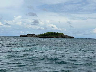 クロコダイル島_Crocodile Islandの画像