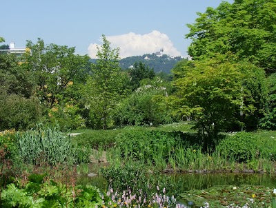 リンツ植物園_Linz Botanical Gardenの画像