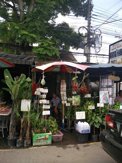 チャトゥチャック フラワー市場_Chatuchak Flower Marketの画像