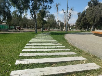 センテナリオ・アリカ・イ・パリナコタ公園_Centenario Arica y parinacota Parkの画像