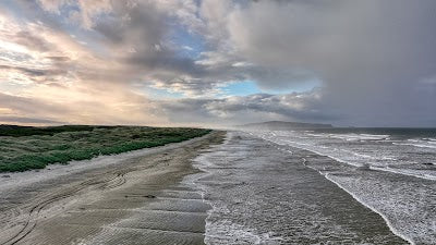 オレティ・ビーチ_Oreti Beachの画像