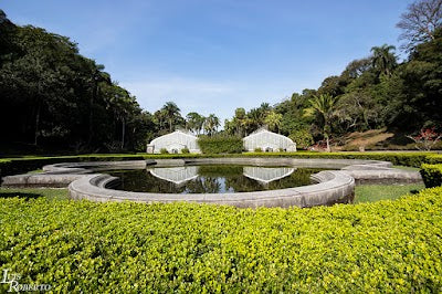 サンパウロ植物園_Jardim Botânico de São Pauloの画像