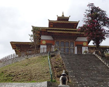 Druk Wangyel Monastery