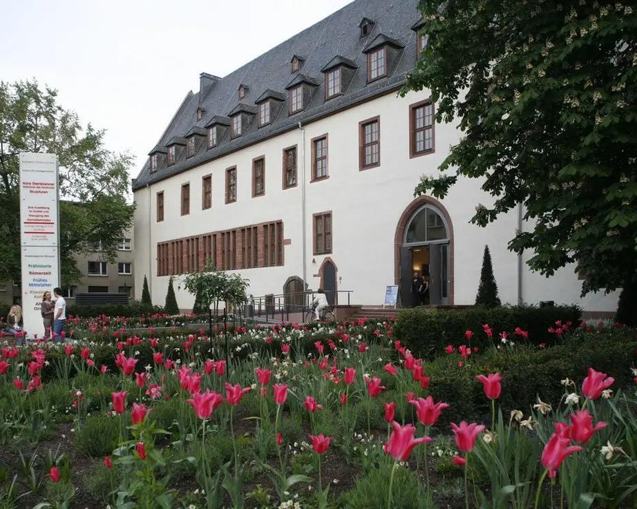 Institut für Stadtgeschichte im Karmeliterkloster_Portikusの画像